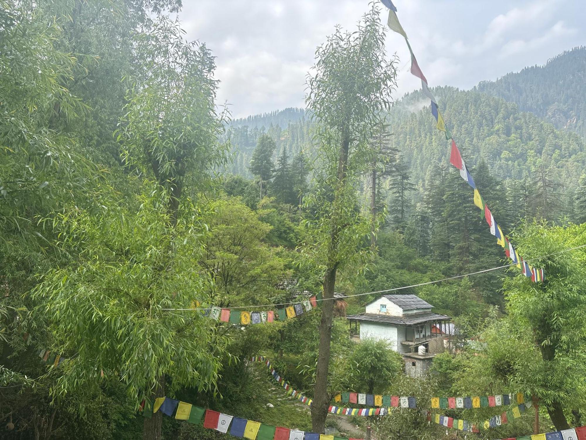 The Cozy Cabin, Jibhi Banjār Buitenkant foto