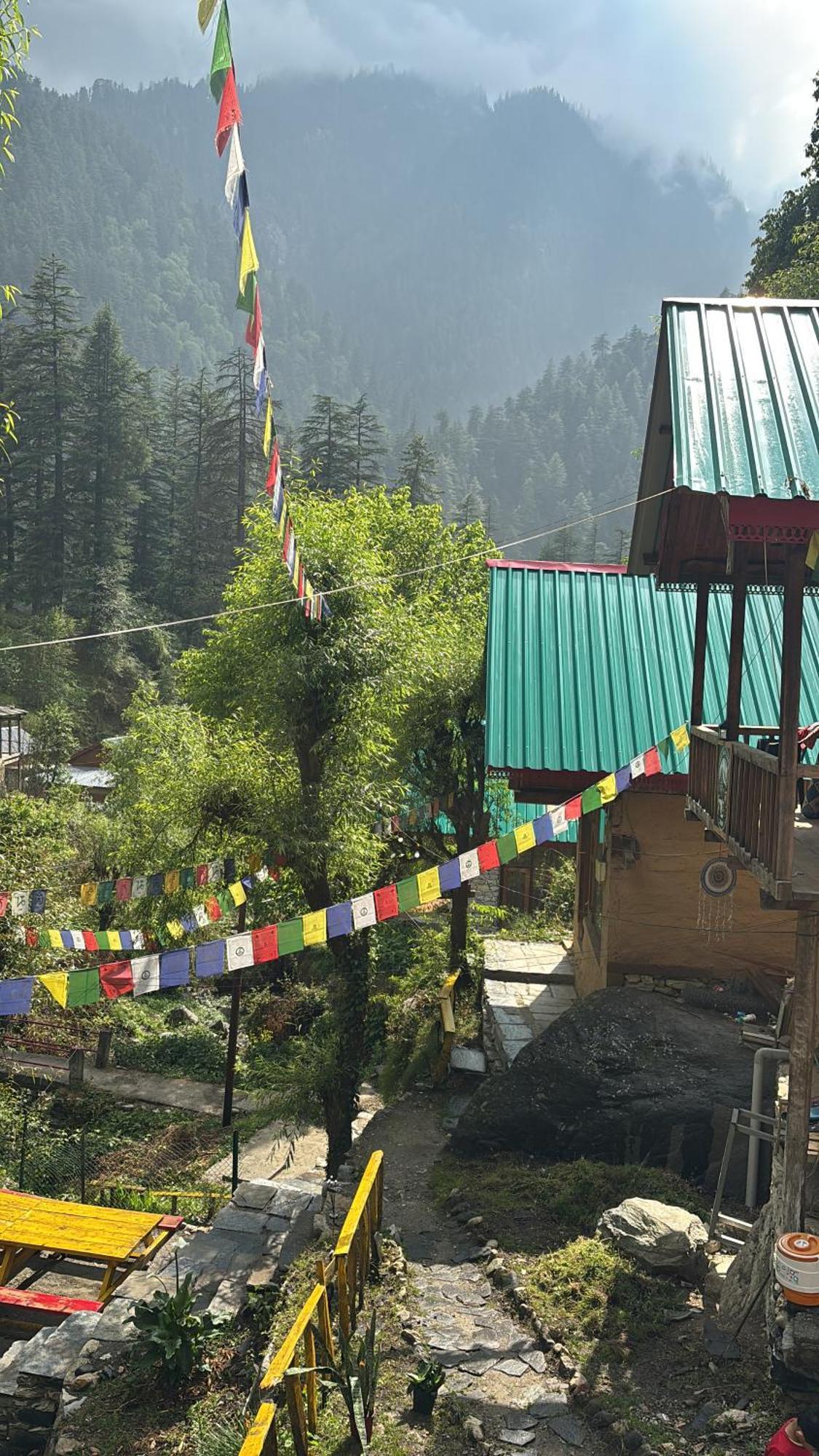 The Cozy Cabin, Jibhi Banjār Buitenkant foto