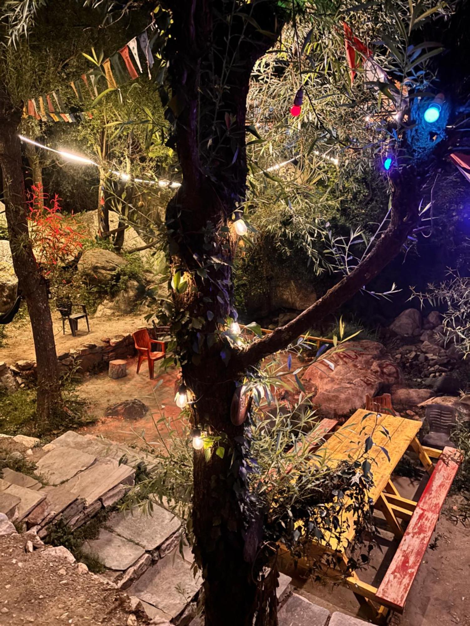 The Cozy Cabin, Jibhi Banjār Buitenkant foto